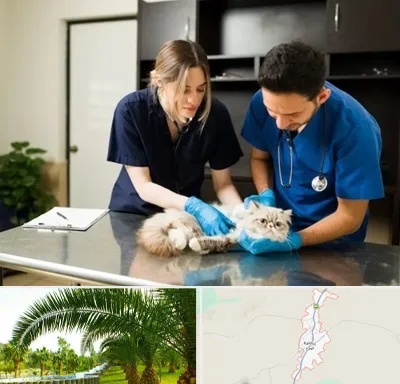 دامپزشکی سیار در کهنوج