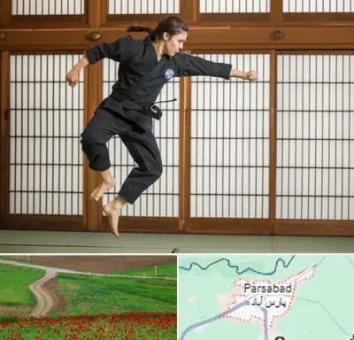 باشگاه نینجا در پارس آباد