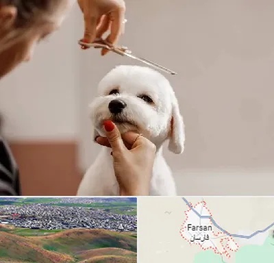 آرایشگاه پت در فارسان
