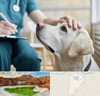 کلینیک دامپزشکی در گرمسار