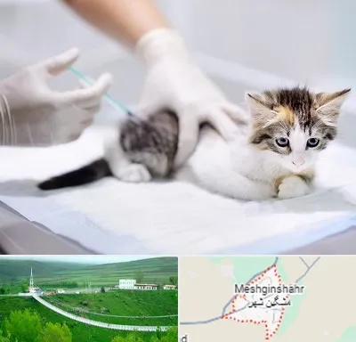 واکسیناسیون حیوانات در مشگین شهر