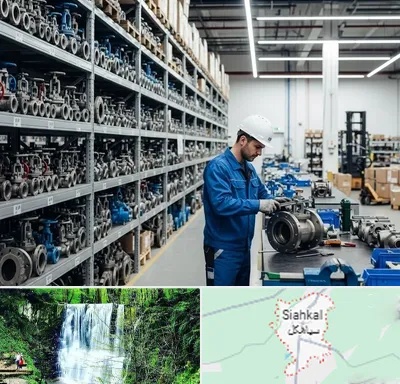 شیرآلات صنعتی در سیاهکل