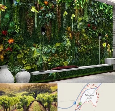 دیوار سبز مصنوعی در تاکستان