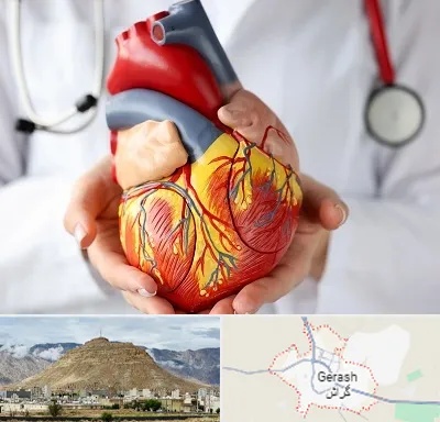 دکتر متخصص قلب و عروق در گراش