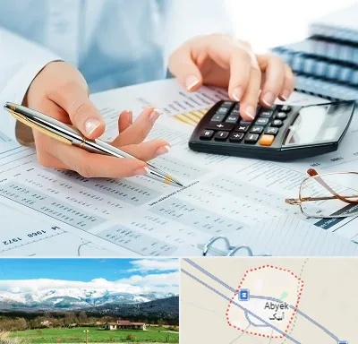 موسسه حسابرسی در آبیک