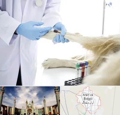 آزمایشگاه حیوانات در آران و بیدگل