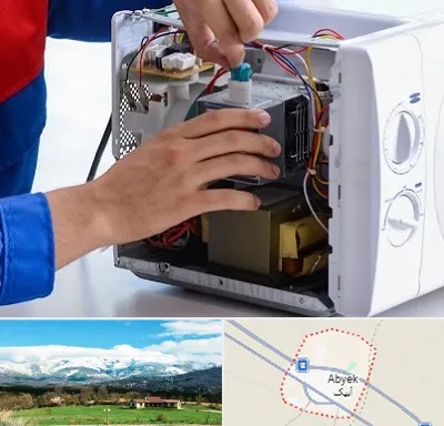 تعمیر مایکروفر در آبیک