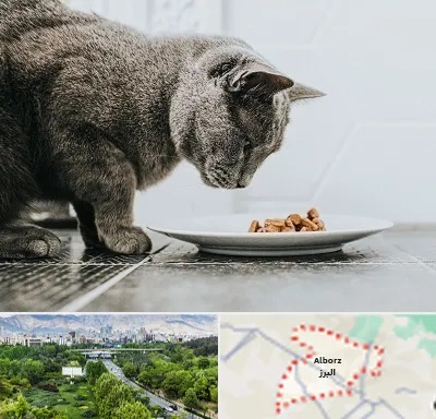 خرید غذای گربه در البرز