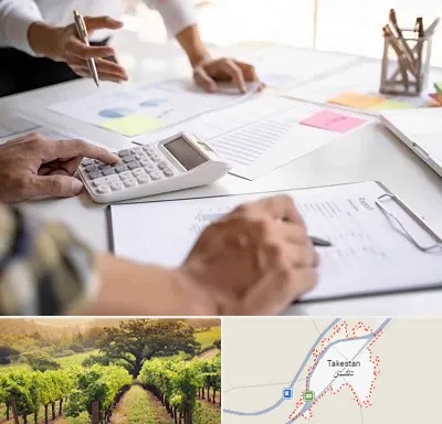نرم افزار رستوران در تاکستان