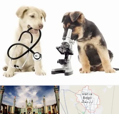 آزمایشگاه دامپزشکی در آران و بیدگل