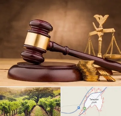 وکیل مالی در تاکستان