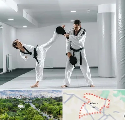 باشگاه رزمی در البرز