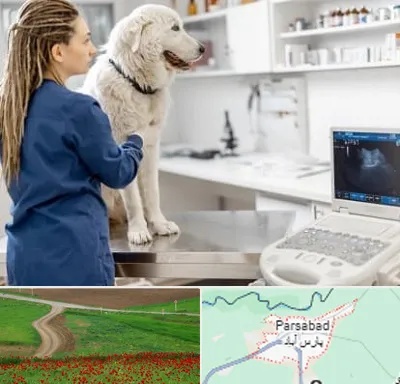 سونوگرافی سگ در پارس آباد