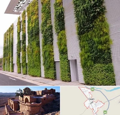 دیوار سبز در قائن