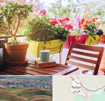 گیاه آپارتمانی در فارسان