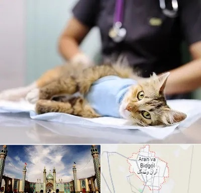 جراح حیوانات در آران و بیدگل
