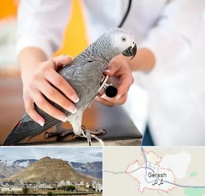 دامپزشکی پرندگان در گراش