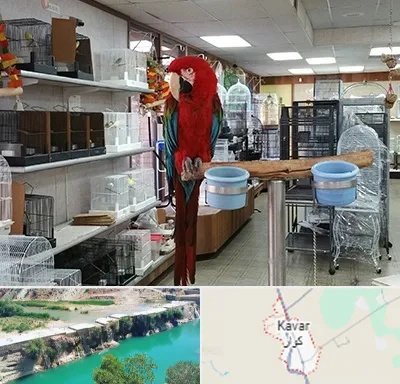 پرنده فروشی در کوار