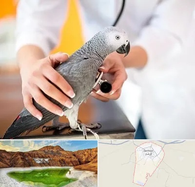 دامپزشکی پرندگان در گرمسار
