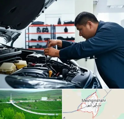 لوازم یدکی فاو در مشگین شهر