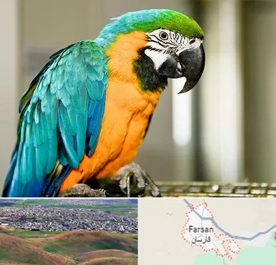 داروخانه شبانه روزی پرندگان در فارسان