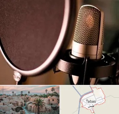 آموزشگاه دوبلوری در طبس