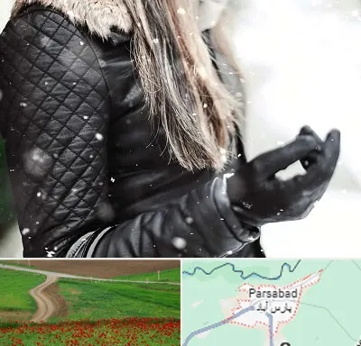 فروشگاه چرم زنانه در پارس آباد