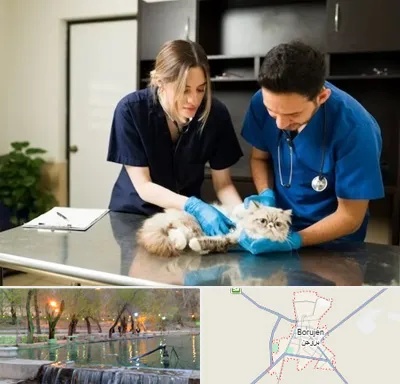 دامپزشکی سیار در بروجن