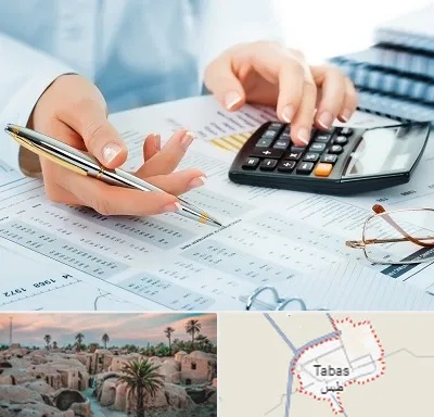موسسه حسابرسی در طبس