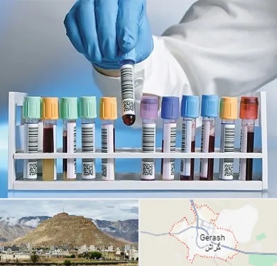 آزمایشگاه شبانه روزی در گراش