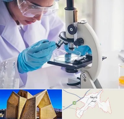 آزمایشگاه در نی ریز