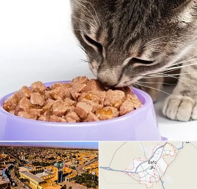 فروشگاه غذای گربه در بافق