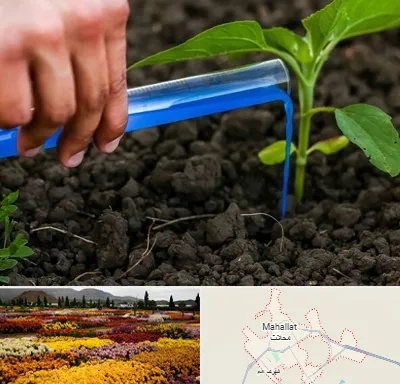 فروشگاه سم و کود کشاورزی در محلات