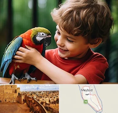 پانسیون پرندگان در میبد