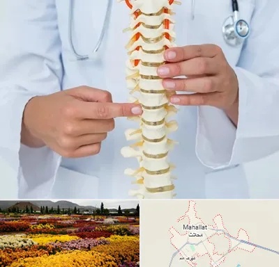 جراح ستون فقرات در محلات