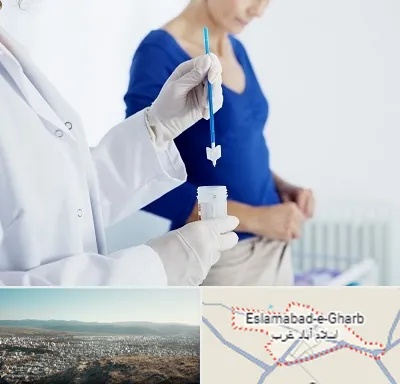 آزمایشگاه پاپ اسمیر در اسلام آباد غرب