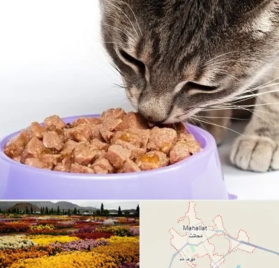 فروشگاه غذای گربه در محلات