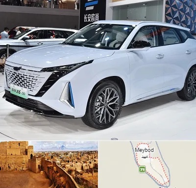 نمایشگاه ماشین چینی در میبد