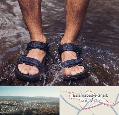 کفش صندل مردانه در اسلام آباد غرب