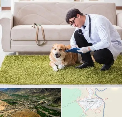 دامپزشکی در منزل در اسدآباد