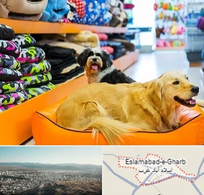 پت شاپ عمده در اسلام آباد غرب