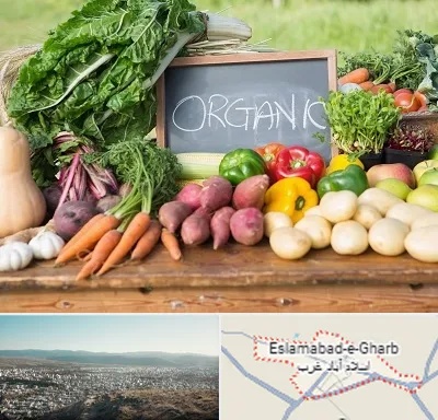 فروشگاه محصولات ارگانیک در اسلام آباد غرب
