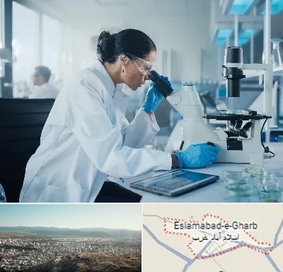 آزمایشگاه HPV در اسلام آباد غرب