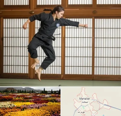 باشگاه نینجا در محلات