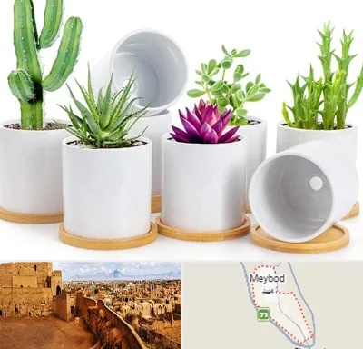 فروش گلدان سرامیکی در میبد