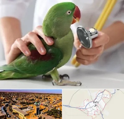 درمانگاه شبانه روزی پرندگان در بافق