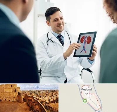 دکتر فوق تخصص سنگ کلیه در میبد
