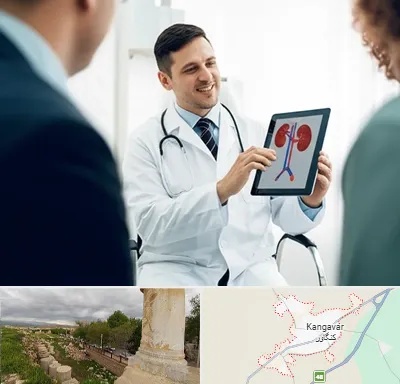 دکتر فوق تخصص سنگ کلیه در کنگاور