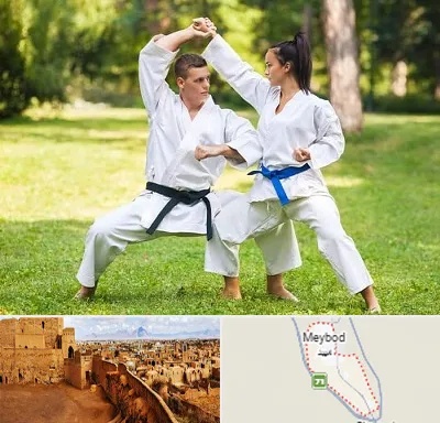باشگاه هاپکیدو در میبد