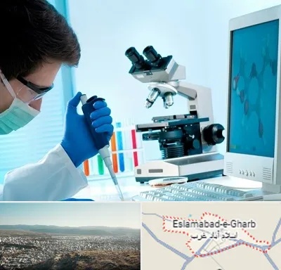 آزمایشگاه پاتوبیولوژی در اسلام آباد غرب